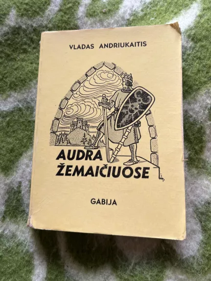 Audra Žemaičiuose - Vladas Andriukaitis, knyga