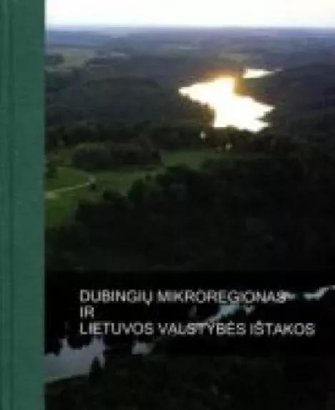 Dubingių mikroregionas ir Lietuvos valstybės ištakos - Autorių Kolektyvas, knyga
