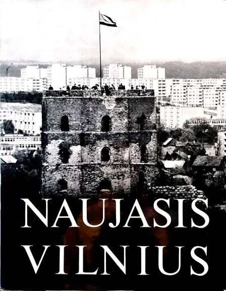 Naujasis Vilnius - Marius Baranauskas, knyga