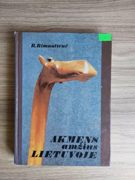 Akmens amžius Lietuvoje - Rimutė Rimantienė, knyga
