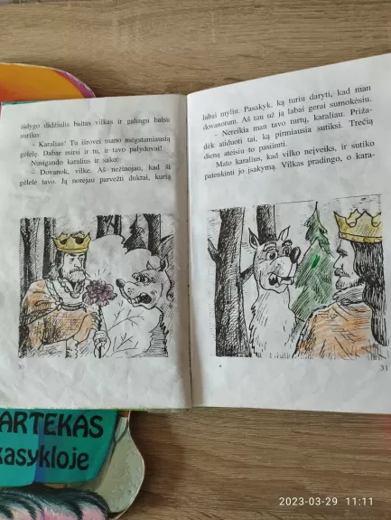 Tomas ir Pemė. Miško picerija - Tony Wolf, knyga 1