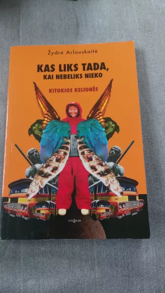 Kas liks tada, kai nebeliks nieko - Žydrė Arlauskaitė, knyga