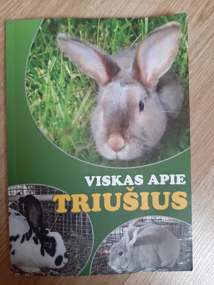 Viskas apie triušius