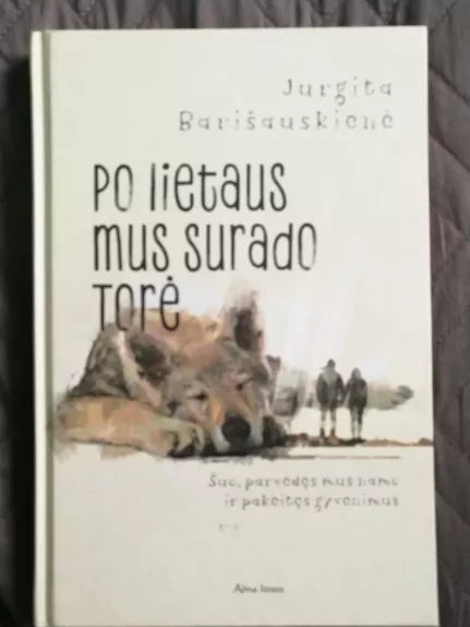 Po lietaus mus surado Torė - Jurgita Barišauskienė, knyga