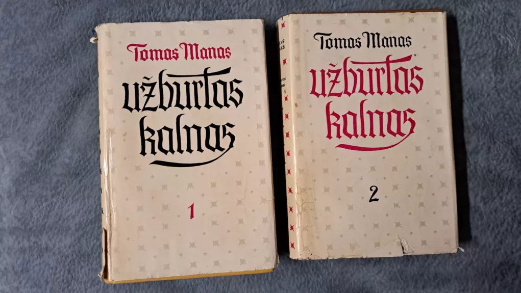 Užburtas kalnas (2 tomai) - Tomas Manas, knyga 1