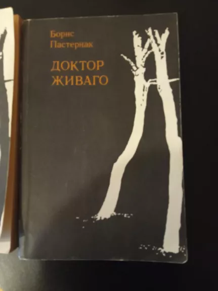 Doktor Živago - Boris Pasternak, knyga 1