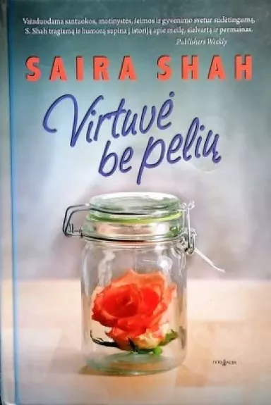 Virtuvė be pelių