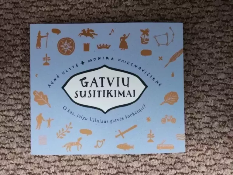 Gatvių susitikimai. O kas, jei Vilniaus gatvės šnekėtųsi? - Monika Vaicenavičienė, knyga