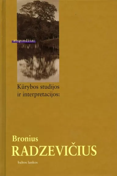 Kūrybos studijos ir interpretacijos: Bronius Radzevičius - Dainius Vaitiekūnas, knyga