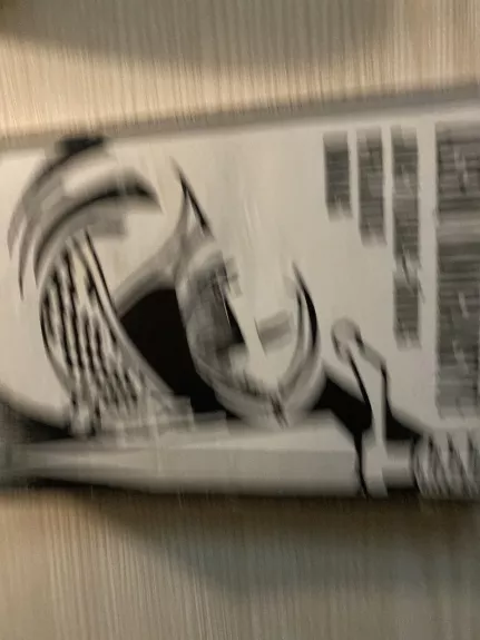 Alšėnų kunigaikštytė