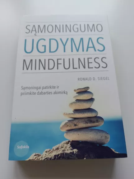 Sąmoningumo ugdymas Mindulness