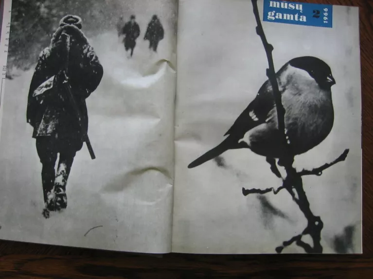 Mūsų gamta, 1966 (1-12) - R. Budrys, knyga