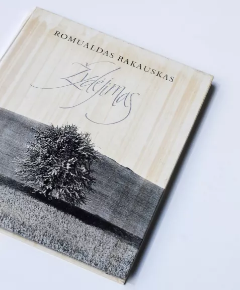 Žydėjimas - Romualdas Rakauskas, knyga 1