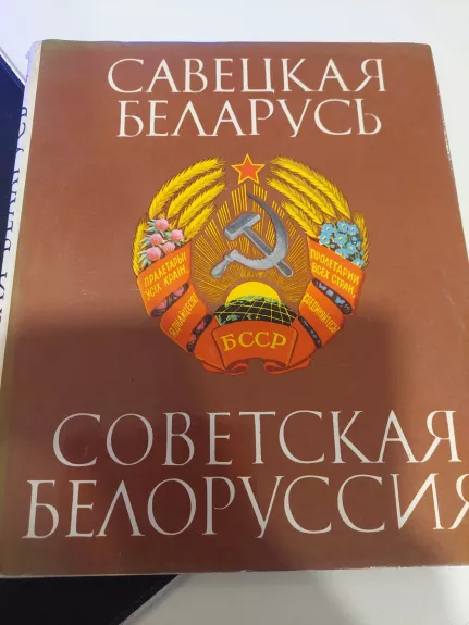 Sovietinė Baltarusija (rusų k.) - Autorių Kolektyvas, knyga 1