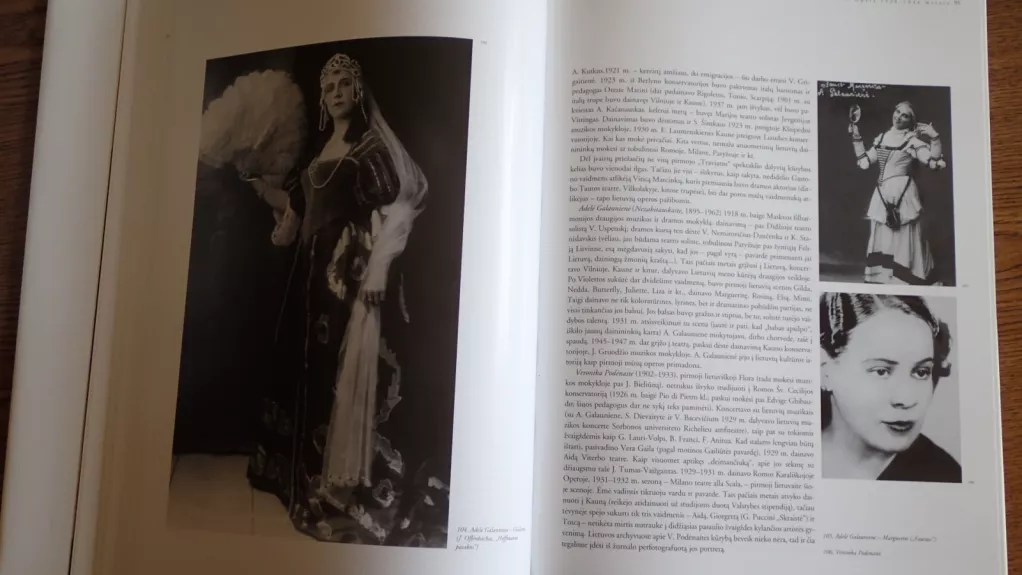Lietuvos nacionalinis operos ir baleto teatras - Jonas Bruveris, knyga 1