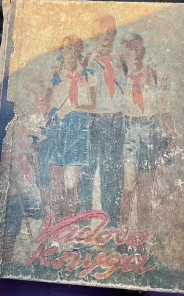 Pionierių vadovo knyga 1948 - Autorių Kolektyvas, knyga 1