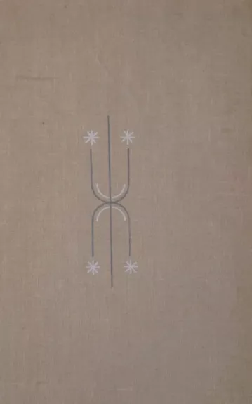 LIETUVIŲ KALBOS MOKYMAS AŠTUONMETĖJE MOKYKLOJE  IV-VIIIKLASĖSE (Idalis) - J. Budzinskis, knyga