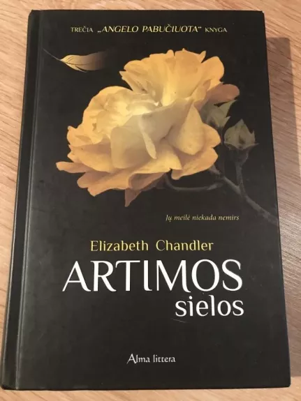 Artimos sielos