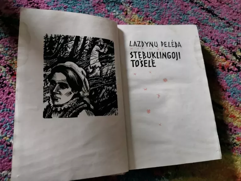 Stebuklingoji Tošelė - Pelėda Lazdynų, knyga 1