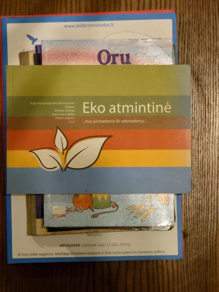 Eko atmintinė