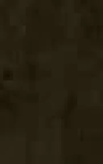 Šešėlių princesė