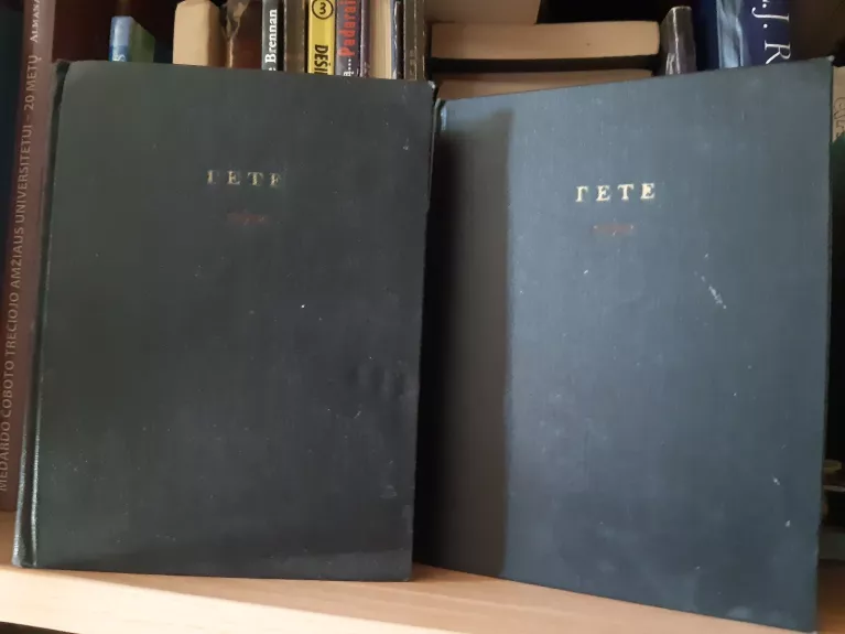 GETE IZBRANOJE SOCINENIJE - Johanas Volfgangas Gėtė, knyga