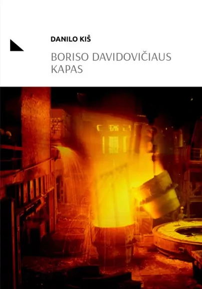 Boriso Davidovičiaus kapas