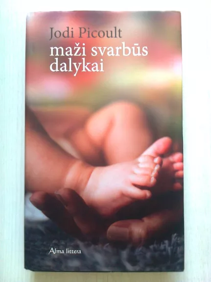 Maži svarbūs dalykai - Jodi Picoult, knyga
