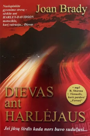 Dievas ant Harlėjaus - Joan Brady, knyga