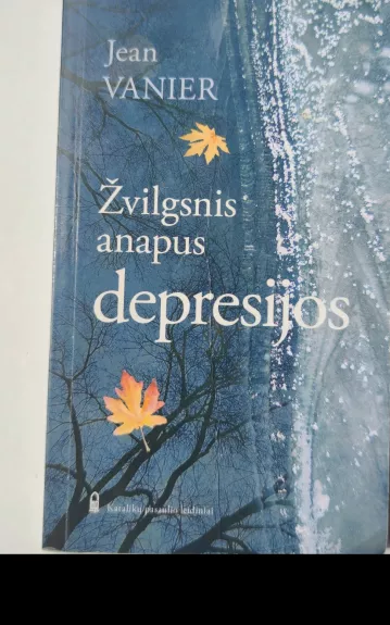 Žvilgsnis anapus depresijos - Jean Vanier, knyga