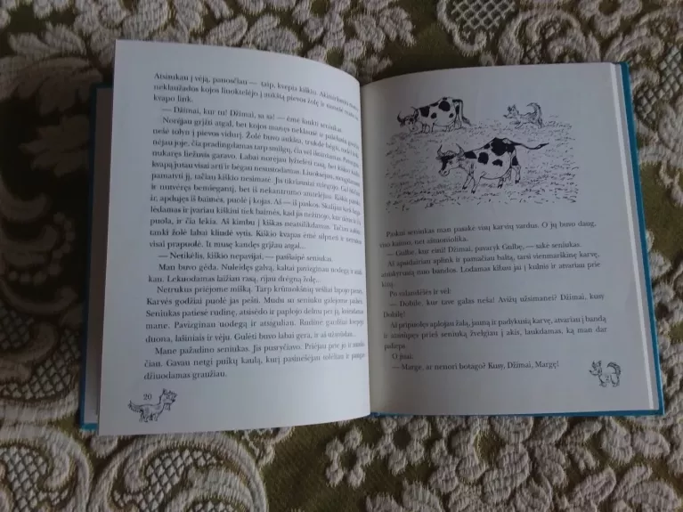 Rudis, kuris tapo Džimu