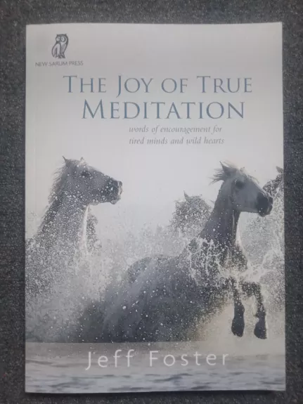 The Joy of True Meditation: words of encouragement for tired minds and wild heartts - Jeff Foster, knyga