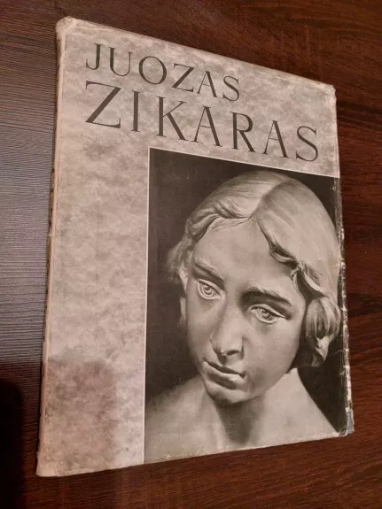 Juozas Zikaras - Stasys Budrys, knyga