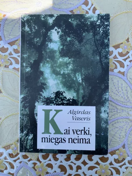 Kai verki, miegas neima - Algirdas Vaseris, knyga