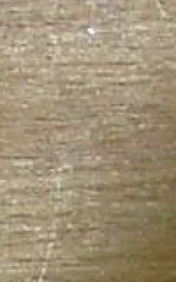 Filosofijos istorijos chrestomatija. Viduramžiai - B. Genzelis, knyga