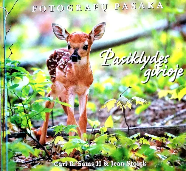 Pasiklydęs girioje - Carl Sams, knyga