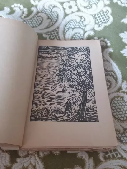 Žanas Kristofas (I tomas)