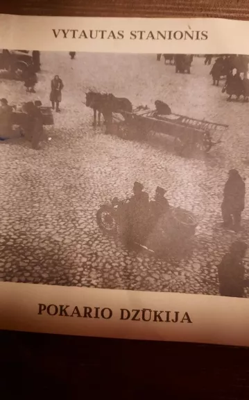 Pokario Dzūkija - Vytautas Stanionis, knyga
