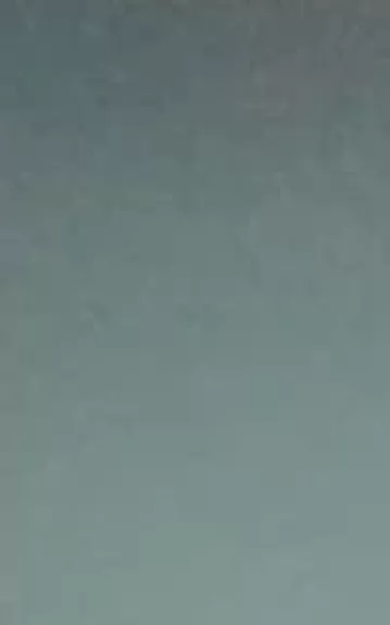 Ak, ta neištikimybė - Eva Voller, knyga