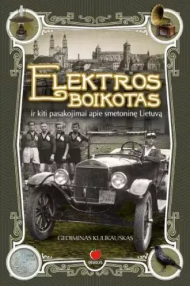 Elektros boikotas ir kiti pasakojimai apie smetotinę Lietuvą - Gediminas Kulikauskas, knyga