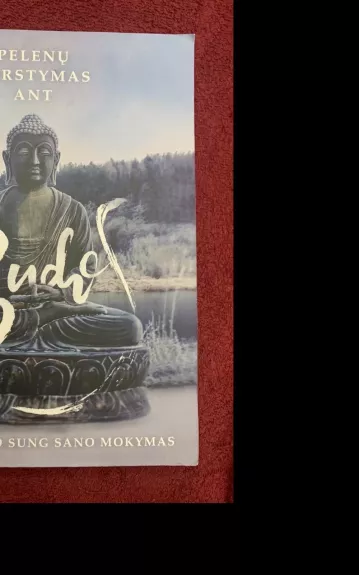 Pelenų barstymas ant Budos. Zen meistro Sung Sano mokymas