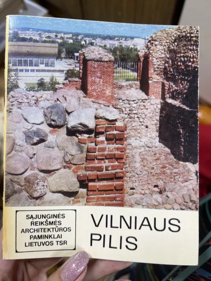 Vilniaus pilis - Eduardas Budreika, knyga