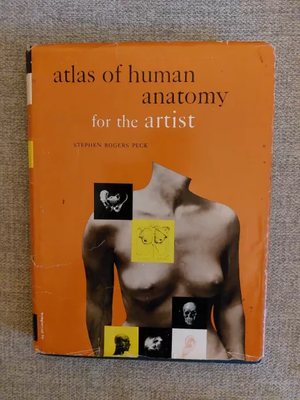 Atlas of Human Anatomy for The Artist