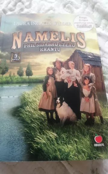 Namelis prie sidabro ežero krantų - Laura Ingalls Wilder, knyga