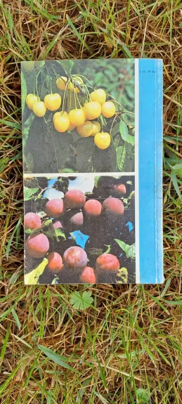 Sodininko žinynas 1988 - Algirdas Puipa, knyga