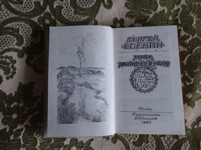 Синь, упавшая в реку - Сергей Есенин, knyga 1