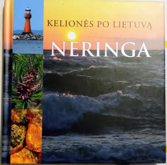 Kelionės po Lietuvą: Neringa - Selemonas Paltanavičius, knyga