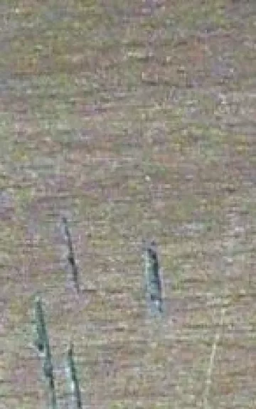 Rašytojai-Nobelio premijos laureatai