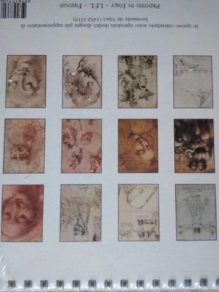 Masters of Italian Art Leonardo da Vinci - Peter Hohenstatt, knyga 1