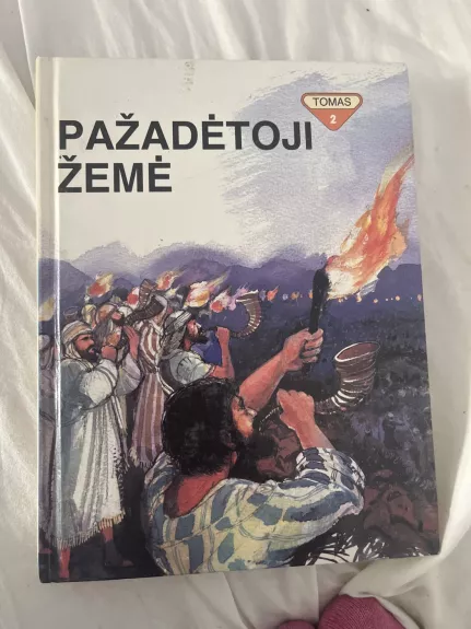 Biblijos skaitiniai patiems mažiausiems (2 tomas). Pažadėtoji žemė - Frank Penni, knyga